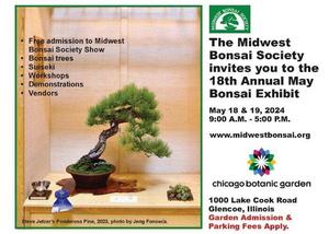 Midwest Bonsai Society 18th May Exhibit