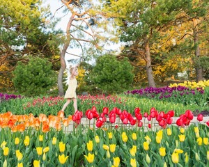 Mother's Day Picnic Lunch