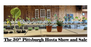 The 30th Pittsburgh Hosta Show and Sale
