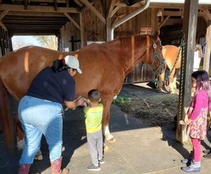 Freedom Hill Horse Rescue Open House & Tack Sale