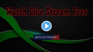 THE CAGE MMA 4 — LIVE Streams All Elite MMA Fighting Free — Anywheres