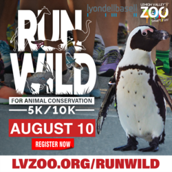 Run Wild