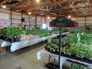 CARBON COUNTY MASTER GARDENERS PLANT SALE