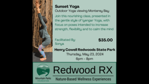 Sunset Yoga