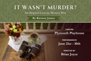 It Wasn't Murder? -- an original comedy mystery