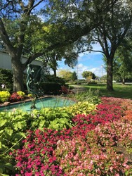 Sound Drawing in the Garden