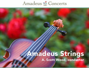 Amadeus Strings