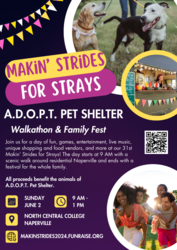 Makin' Strides For Strays