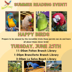 Happy Birds