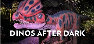 Dino's After Dark