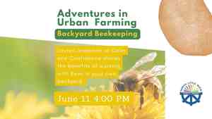 Adventures In Urban Farming: Backyard Beekeeping