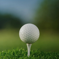 Death by Golf: A Comedic Play