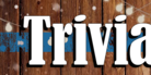 Wednesday Night Trivia @ Brewhouse Gallery