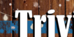 Wednesday Night Trivia @ Brewhouse Gallery