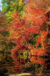Meet the Artists-Pocono Photo Club
