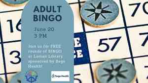 Adult Bingo