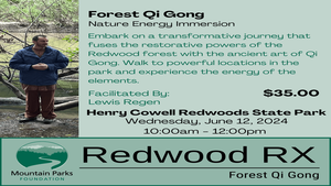 Forest Qi Gong - Nature Energy Immersion With Qi Gong