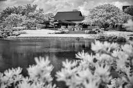 OLLI - FAU Lecture Series: Morikami Gardens: A Conversation About Art, History, Design, & Healing