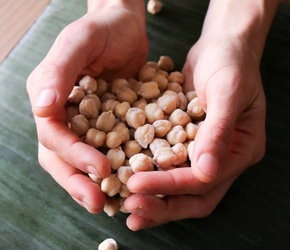 Tempeh Workshop