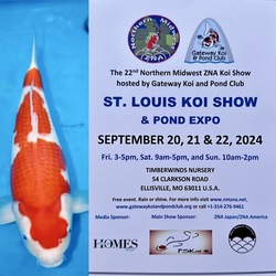 St. Louis koi and pond club