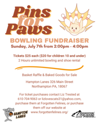 Forgotten Felines Pins for Paws Bowling Fundraiser!
