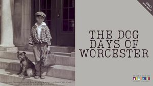 The Dog Days of Worcester