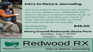 Intro to Nature Journaling