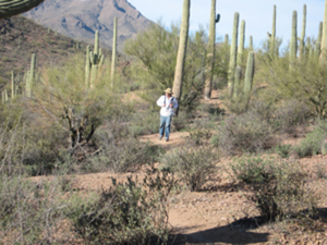 Desert Ecology Hike – Sweetwater Preserve