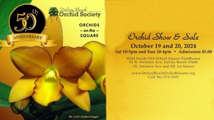 Orchids On The Square