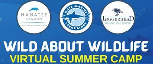 Wild About Wildlife Virtual Summer Camp