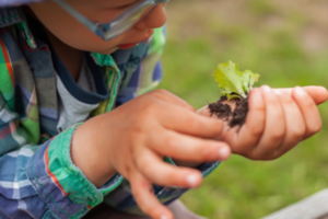 Herb and Garden Weekend