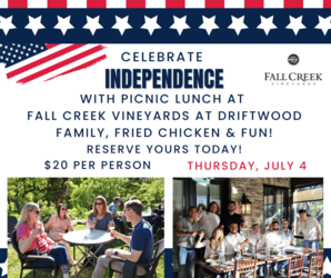 4th of July Picnic Celebration at FCV Driftwood