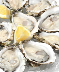 CityGate Grille Patio Series: Beers & Oysters
