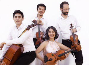 Telegraph Quartet: Morris Museum’s Lot of Strings Music Festival