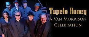 Concerts at Surfside: Tupelo Honey, A Van Morrison Celebration