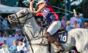 Picnic at Polo with Bike Newport!