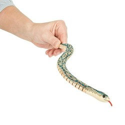 Paint a Snake Craft Class at the Windsor Branch of the Jefferson County Library