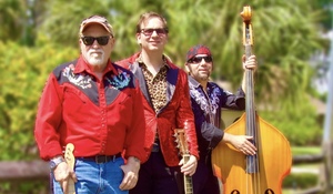 The Divebombers at linger Lodge