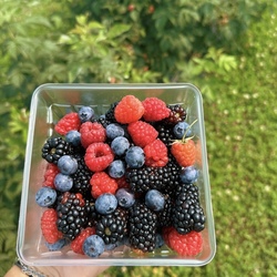 Summer U-Pick Adventures at Milburn's!