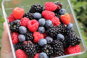 Summer U-Pick Adventures at Milburns!