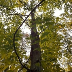 Wildlands Conservancy – Get Out! For Wellness: Mariton Wildlife Sanctuary