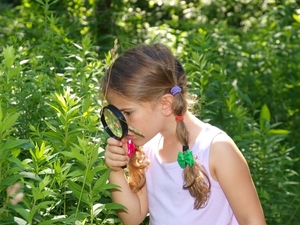 Explorer Day Camp at Trexler Nature Preserve, Environmental Education Center - July 24