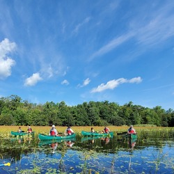 Minsi Lake Canoe Paddle – July 27