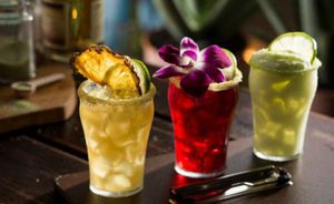 Flight Night at Bahama Breeze King of Prussia - FREE Cocktail with RSVP!