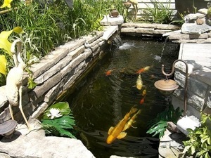 Pond Tour Water Fall, Koi Bonsai garden