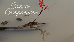 Cancer Companions Support Group