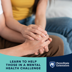Mental Health First Aid for Lehigh County Residents