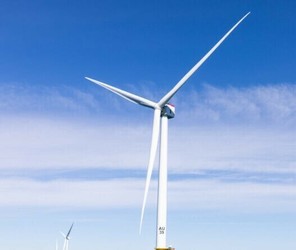 Understanding Offshore Wind Energy: From Plankton to People