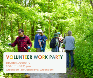 Volunteer work party!