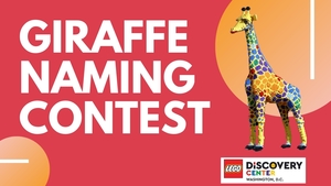 Giraffe Naming Contest at LEGO Discovery Center Washington, D.C.